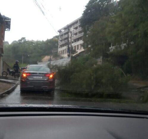 Alagamentos e queda de árvore: chuva deixa motoristas de Nova Friburgo em estado de alerta 