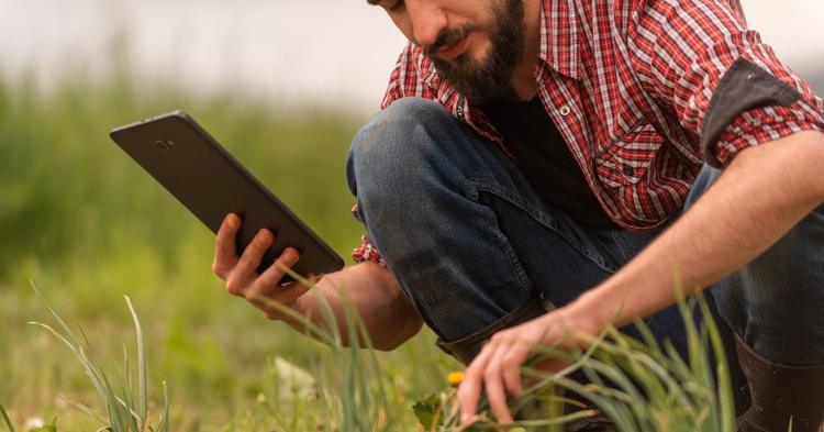 Tecnologias sustentáveis já estão presentes em 3,6 milhões de propriedades rurais no Brasil