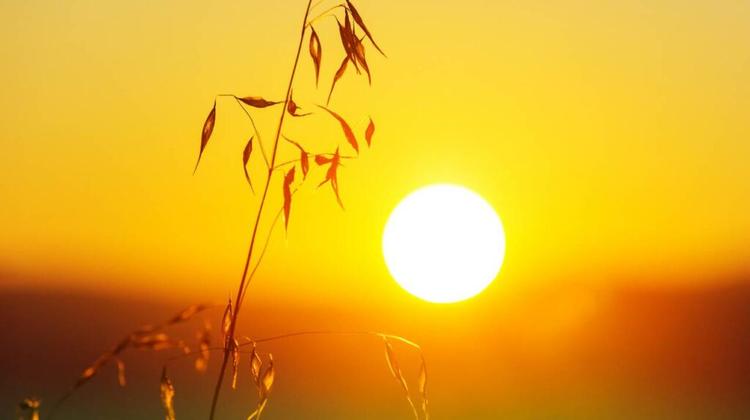 TROUVER LA SÉRÉNITÉ DANS LA TRANSFORMATION : UN MESSAGE POUR LORRAINE TROUVER LA SÉRÉNITÉ DANS LA TRANSFORMATION : UN MESSAGE POUR LORRAINE