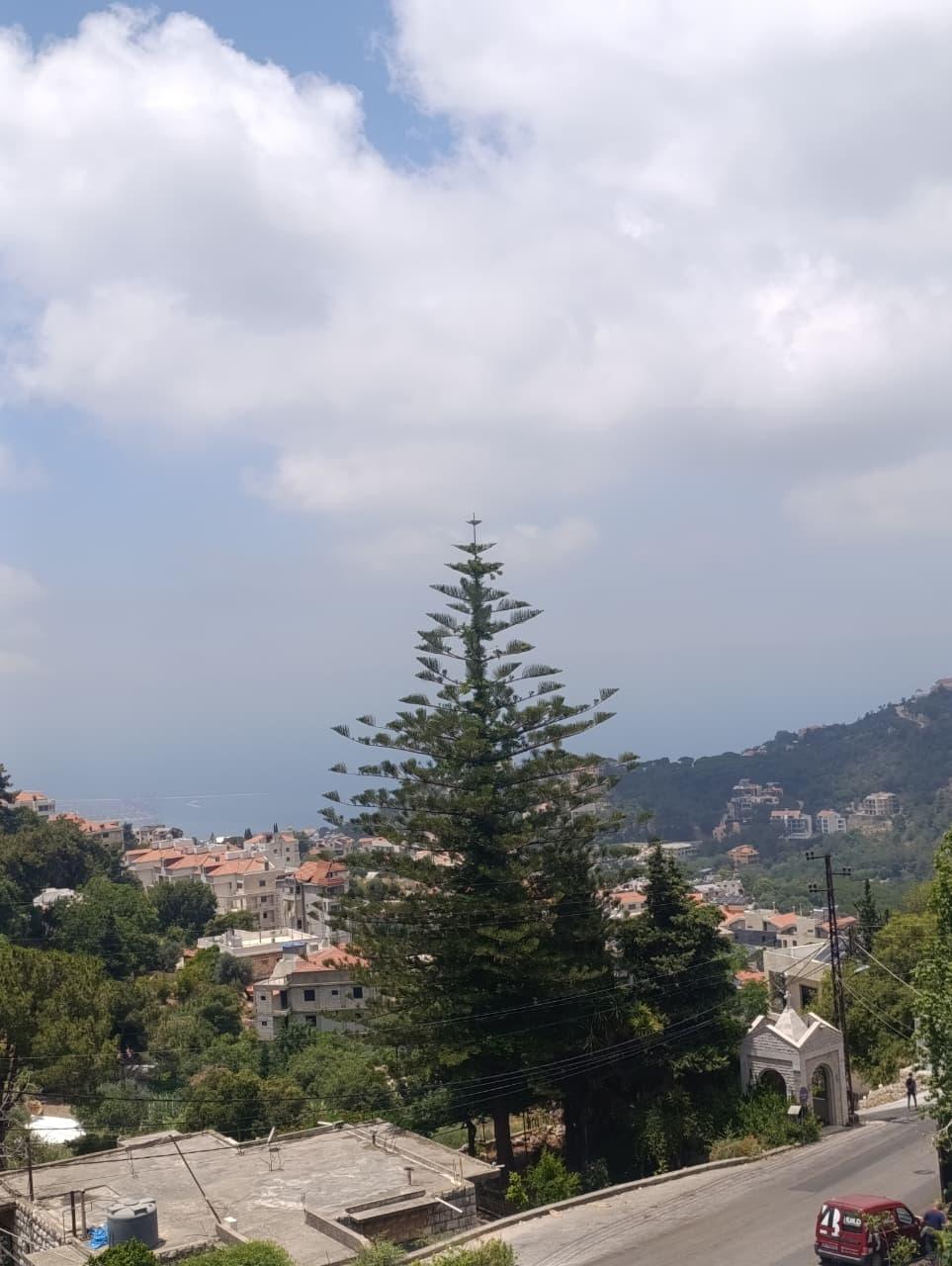 For Sale: Apartment in Mar Chaaya
