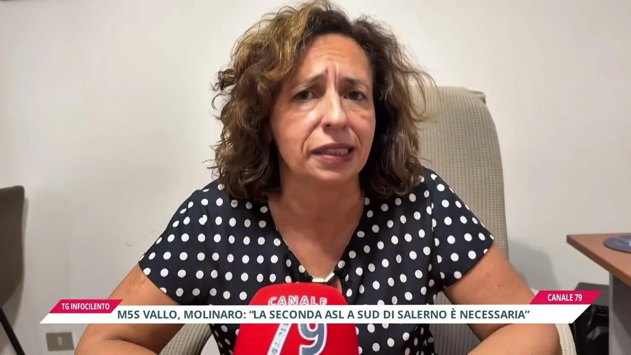 M5S Vallo della Lucania, Molinaro: “la seconda Asl a sud di Salerno è necessaria”