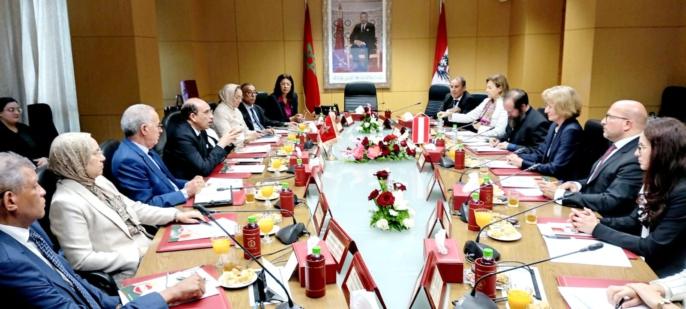 رئيس النيابة العامة يجري مباحثات مع المدعية العامة لجمهورية النمسا