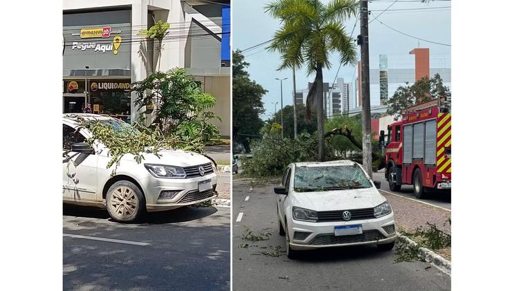 Chuvas e fortes ventos derrubam árvores, atingem estrutura de festa e causam transtornos na PB; VÍDEO
