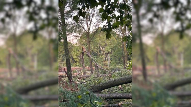 Montpellier : intempéries, le Château d'O ferme temporairement ses portes
