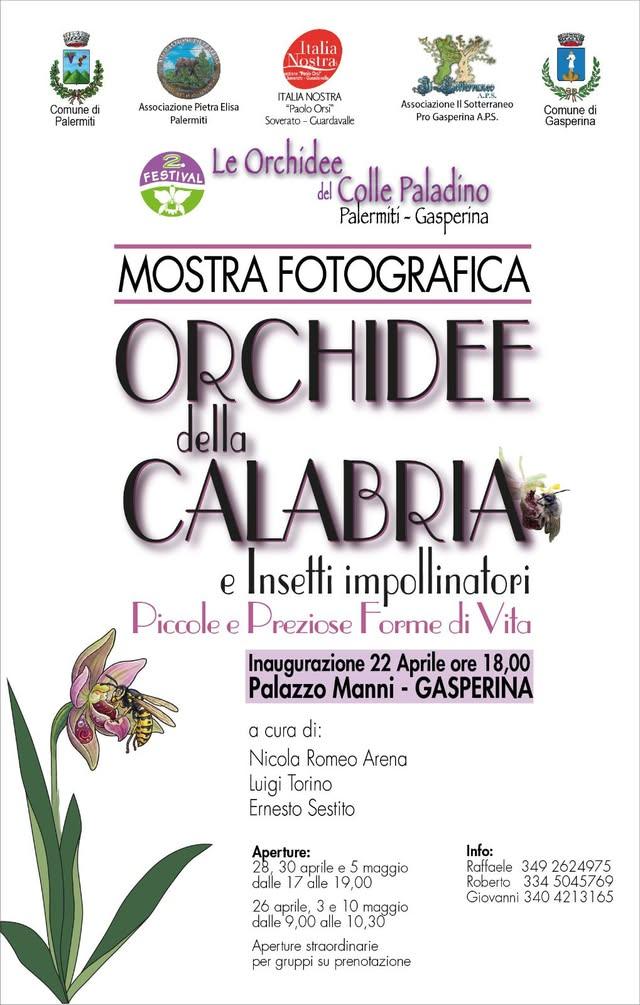 #ComuneGasperina 🟢 Inaugurazione mostra fotografica "Orchidee della Calabria"