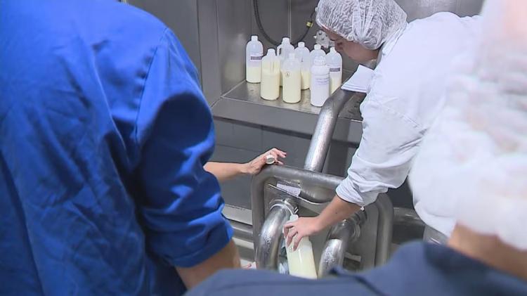Leite Compensado: quem são os condenados por esquema de adulteração de leite com soda cáustica no RS