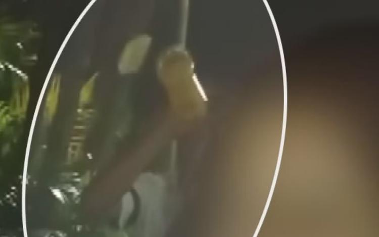 Após vídeo com garrafa, família contesta jovem que negou beber antes de acidente que matou adolescente em Franca, SP
