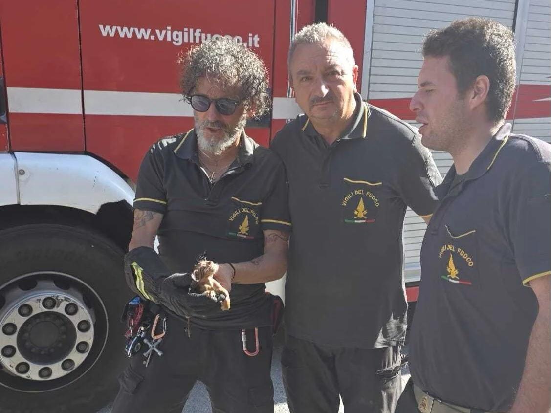 Gattino resta bloccato nel pluviale a Sala Consilina: salvato dai Vigili del Fuoco