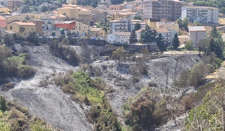 Barile, Parco Urbano delle Cantine in fiamme: incendio doloso colpisce la cittadina lucana