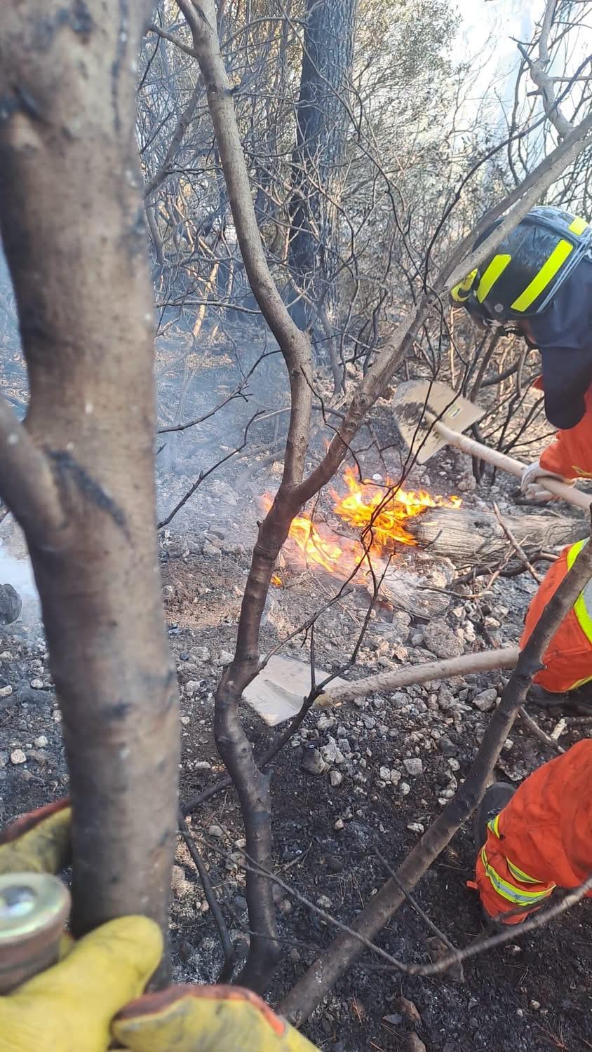 Vico del Gargano, Pineta Marzini salva dalle fiamme: Sciscio, «Si poteva evitare»