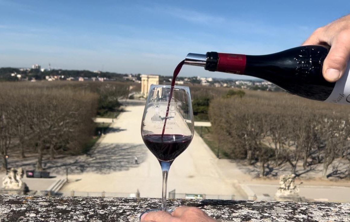 Vins Pays d’Oc IGP : Les 51 cuvées qui vont faire vibrer votre été 2026