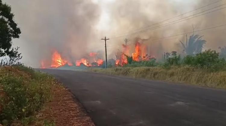 Incêndio atinge vegetação em Caapiranga e moradores temem que sítios sejam destruídos: 'a gente está arriscando a vida'