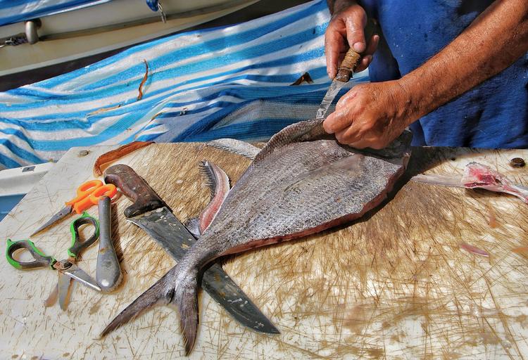 Il 30 aprile a Milazzo il “Festival Sentieri di mare” per promuovere il pescato locale. Il programma: tra degustazioni e laboratori