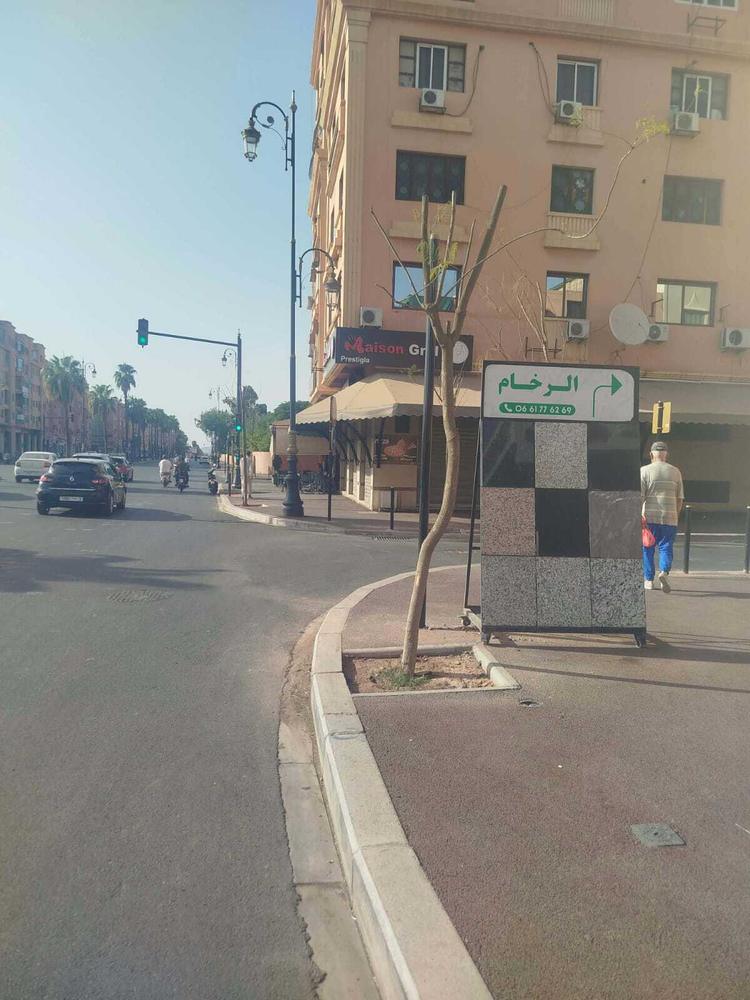 مسودة تلقائية