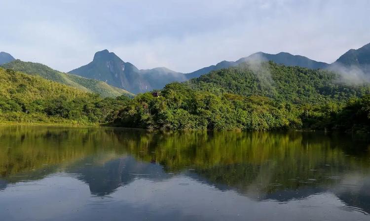Desmatamento na Mata Atlântica atinge menor nível histórico