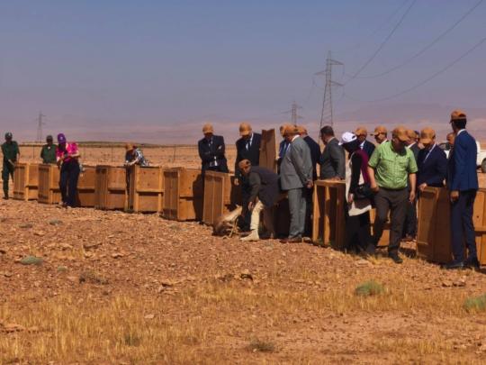 الوكالة الوطنية للمياه والغابات تُخلد اليوم العالمي للتنوع البيولوجي بجهة درعة