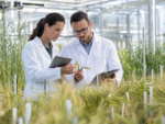 Seed Sector 2045: Why Plant Breeding IP Matters for Europe’s Future