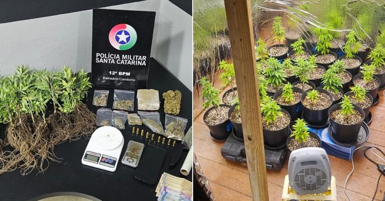 Estufa de maconha é encontrada após mulher ser baleada em Camboriú; suspeito recebia R$ 200 por dia para guardar drogas