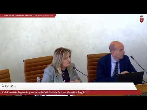 Commissione Consiliare d'Inchiesta