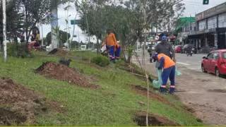 Revitalização dos jardins e áreas verdes é iniciada