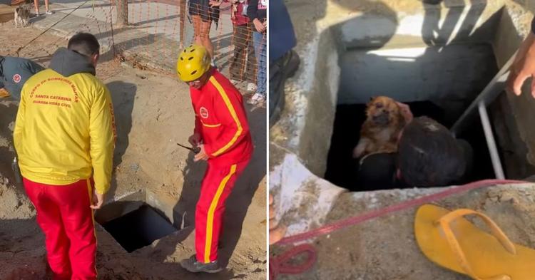 “Todas as vidas importam”: bombeiro relata resgate de cachorro em galeria de macrodrenagem em BC&nbsp;