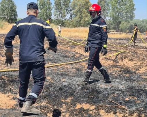 حريق يلتهم مساحة واسعة من الأراضي الزراعية بدوار أكوت بتمصلوحت
