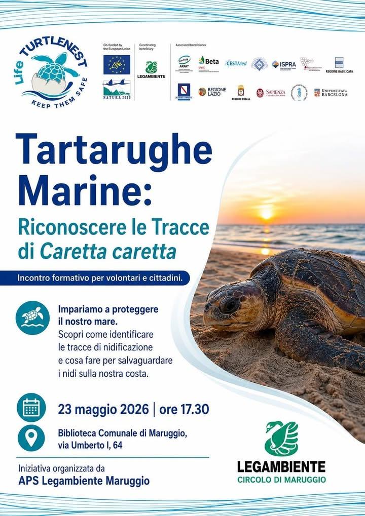 🐢 TARTARUGHE MARINE:  RICONOSCERE LE TRACCE DI CARETTA CARETTA 👉 Incontro formativo per volontari e cittadini. 📝 Impa...
