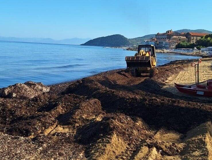 Castellabate: interventi sull’arenile del Pozzillo per la gestione della posidonia spiaggiata