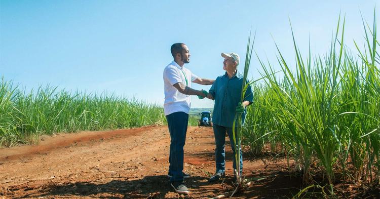 Sistema Cooperativo Sicredi destina R$ 13,7 bi ao agro do PR, SP e RJ com alta de 12,9%