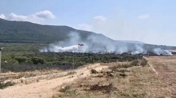 Due incendi nel Foggiano, Canadair in azione