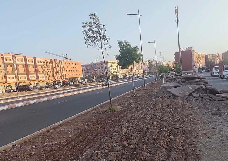 مسودة تلقائية
