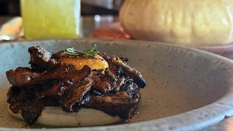 Mushrooms on Hummus at Albi. (Janam Gupta/Siliconeer)