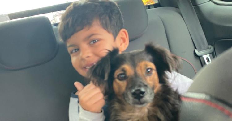 Após um mês desaparecido, tutora reencontra cachorro através da plataforma BC Pet&nbsp;