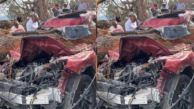 Varios heridos tras caer árbol sobre la autopista Las Américas