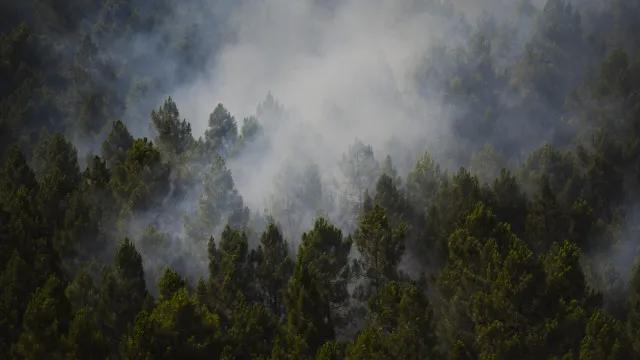 Incêndio na Espanha queima 13 mil hectares e expulsa centenas de casa