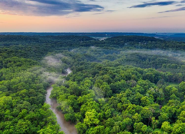 5 de setembro: Dia da Amazônia