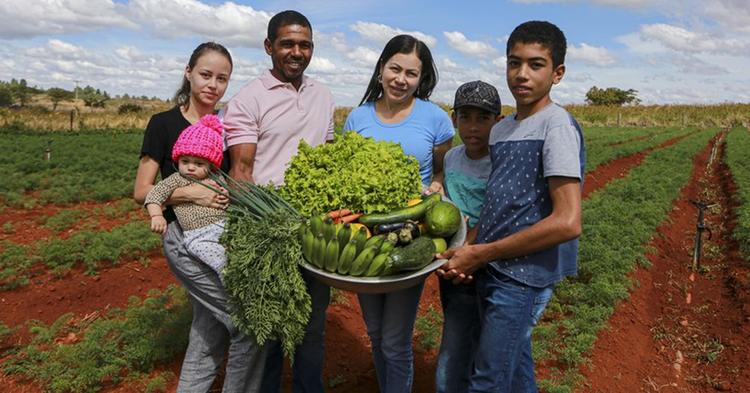 Cooperativas podem aderir ao novo Desenrola Rural com descontos de até 96%