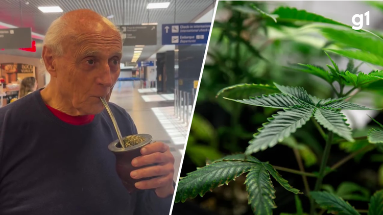 Chimarrão com maconha? Conheça bebida terapêutica (e que não dá barato) compartilhada por Eduardo Suplicy em visita ao RS