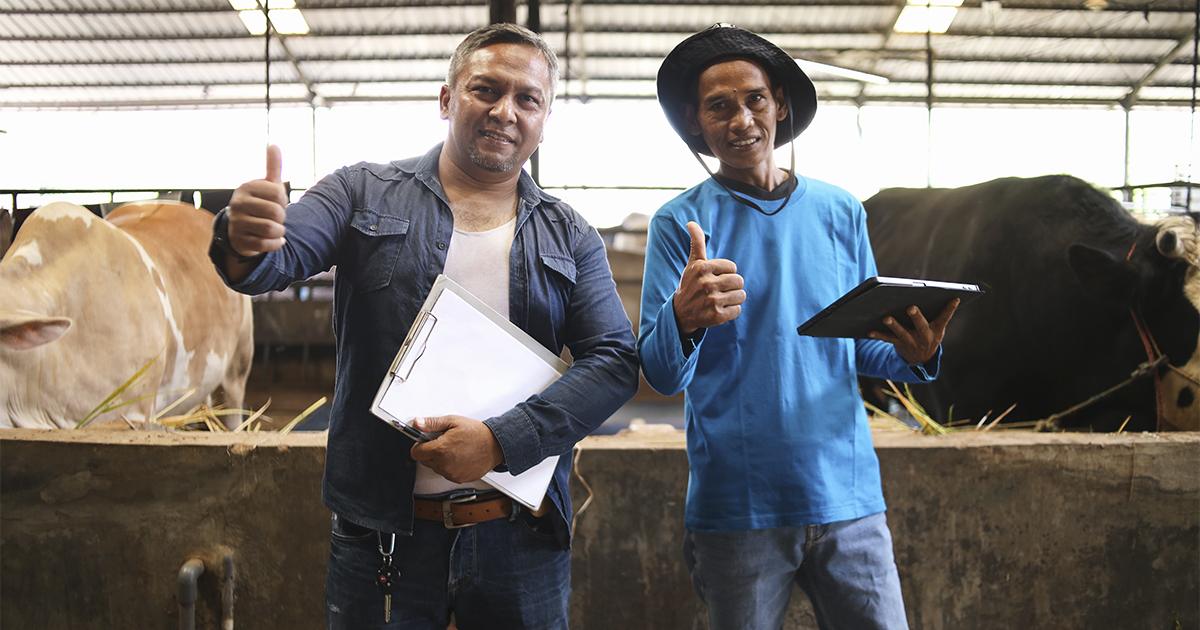 Regionalização do crédito ganha força diante da diversidade da produção brasileira