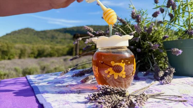 Cidade gaúcha apresenta mel de lavanda em evento que tem xampu e até cerveja feita com a flor