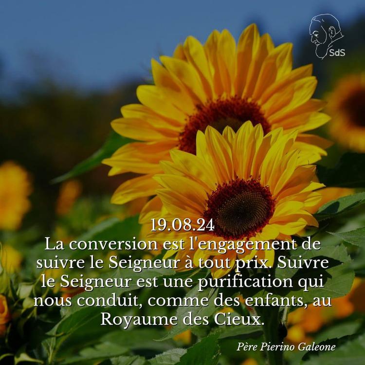19.08.24
La conversion est l'engagement de suivre le Seigneur à tout prix. Suivre le Seigneur est une purification qui nous conduit, comme des enfants, au Royaume des Cieux.

Père Pierino Galeone
