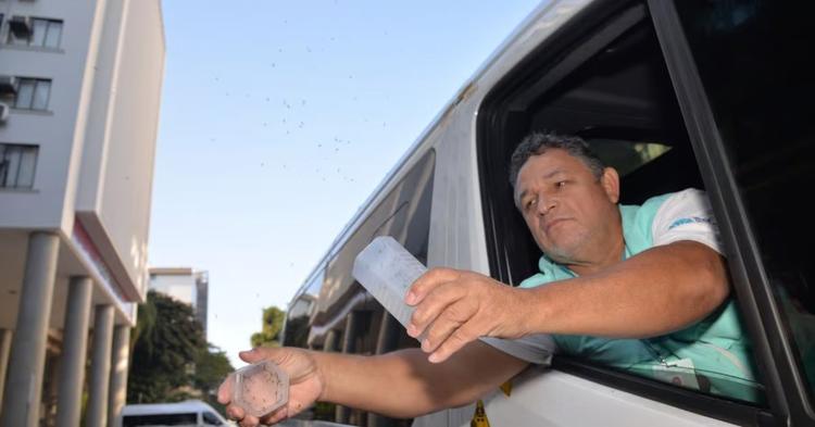 Balneário Camboriú busca ampliar método Wolbachia após registrar menor número de casos de dengue em 10 anos