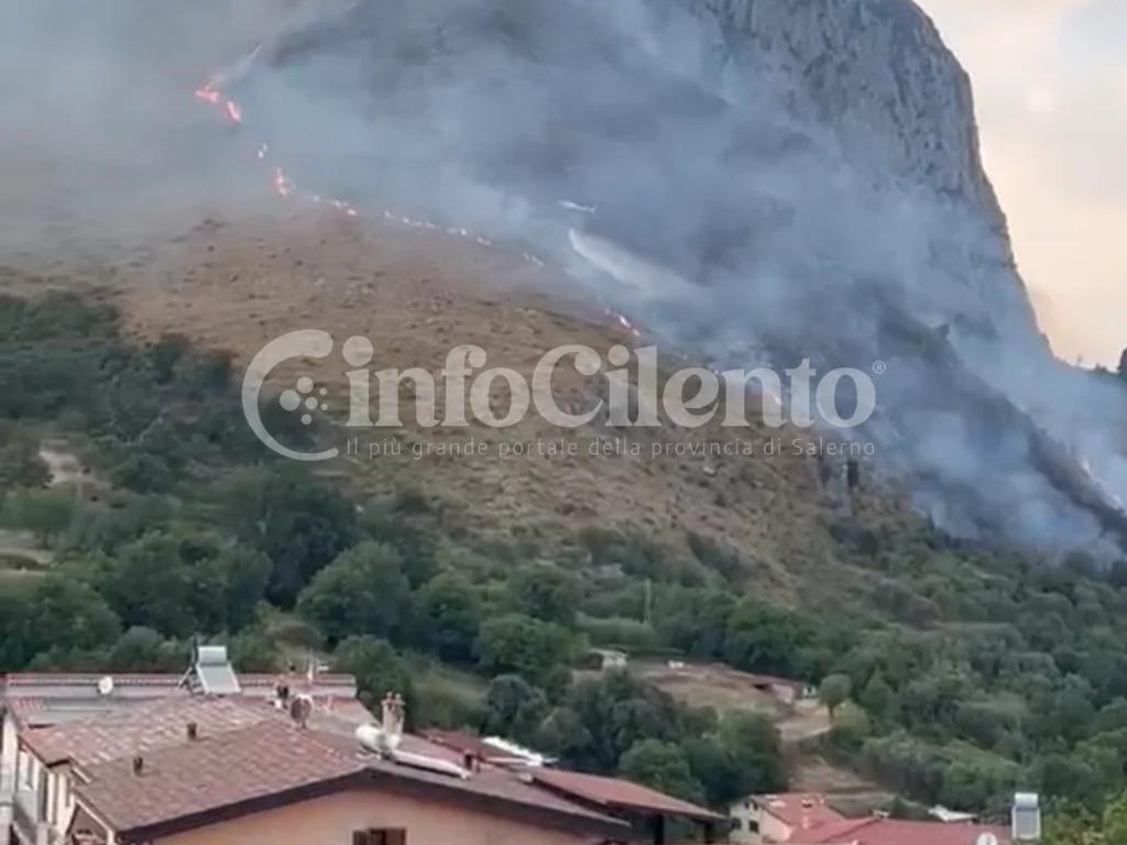 San Giovanni a Piro, doppio incendio tra Cerreto e Scario: in fumo 6 ettari di macchia mediterranea