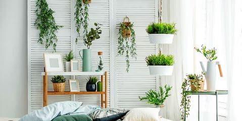 ¡Verde por dentro! El secreto de las plantas de interior para un hogar más saludable y vibrante