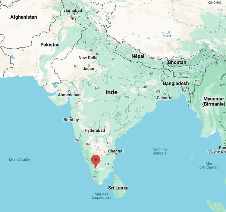 Inde : Gadgets avancés à Coimbatore pour lutter contre les incendies de forêt