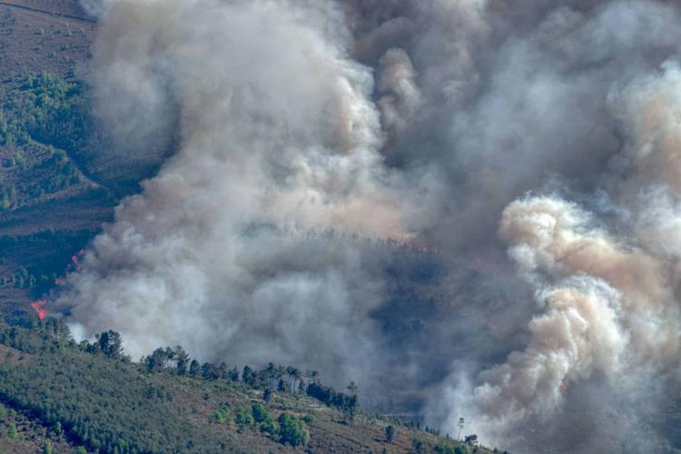 Chine : Lutte contre un incendie de forêt à Kunming