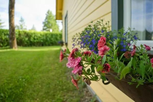 Concours des maisons et jardins fleuris 2026