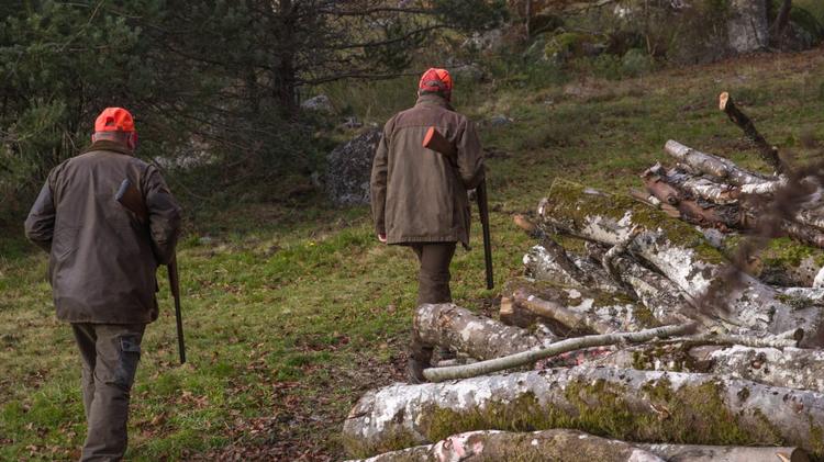 Gard : des chasseurs découvrent un corps sans vie près d'un ruisseau