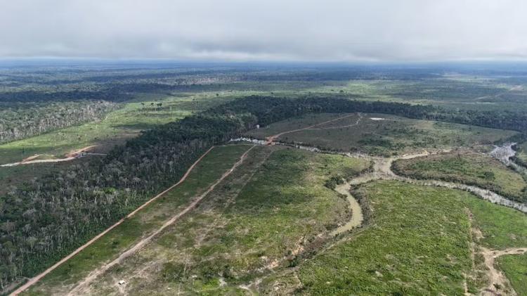 Desmatamento cai 27% no Amazonas em 2026, mas pressão sobre terras indígenas e áreas protegidas preocupa