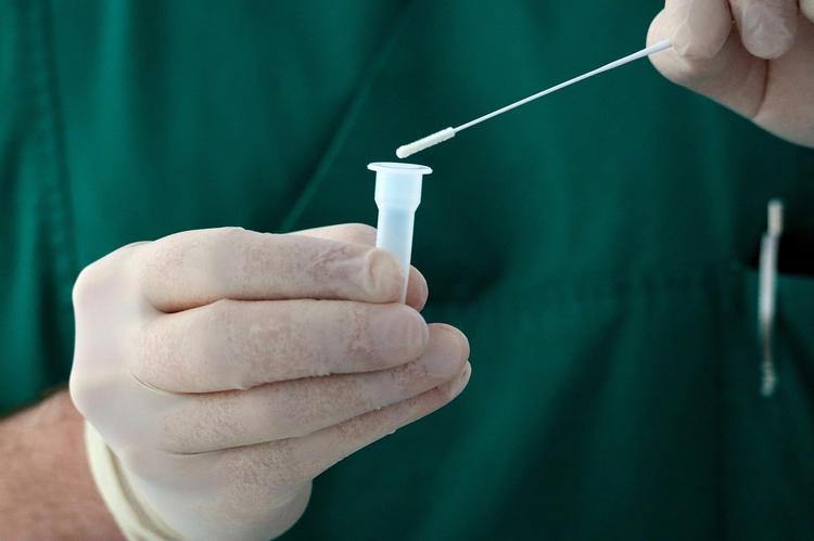 Hantavirus, Ministero: “In Italia nessun caso registrato”
